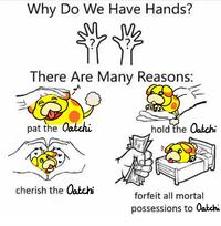 Why Do We Have Hands? There Are Many Reasons: pat the Oatchi cherish the Oatchi hold the Oatchi forfeit all mortal possessions to Oatchi