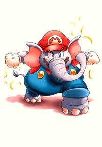 🐘