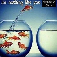 im nothing like you brothers in Christ