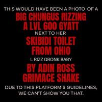 THIS WOULD HAVE BEEN A PHOTO OF A BIG CHUNGUS RIZZING A LVL 600 GYATT NEXT TO HER SKIBIDI TOILET FROM OHIO L RIZZ GRONK BABY BY ADIN ROSS GRIMACE SHAKE DUE TO THIS PLATFORM'S GUIDELINES, WE CAN'T SHOW YOU THAT.