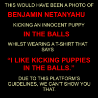 THIS WOULD HAVE BEEN A PHOTO OF BENJAMIN NETANYAHU KICKING AN INNOCENT PUPPY IN THE BALLS WHILST WEARING A T-SHIRT THAT SAYS "I LIKE KICKING PUPPIES IN THE BALLS." DUE TO THIS PLATFORM'S GUIDELINES, WE CAN'T SHOW YOU THAT.