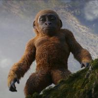 Baby Kong meme image