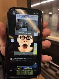 19:19 1 Cat Suciety I'm pet si my friends cat checking me come first time AirDrop from d. Failed 177 Coulcatpuciury OK 39 The Notorious J.O.V. HE DID WHAT NOW?? 1.1K 口 @whotfisj.... 3h THE LIGHTHOUSE F JESS CARE WITH YOU 4G 21h... + 1 A