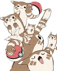 こんなに可愛いﾎﾟｹモンが居ていいんですか！オオタチちゃん！