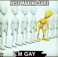 微 JUST MAKING SURE 8893 IM GAY
