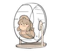 hamster wheel