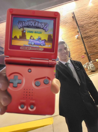 WARIOLANDA PUSH 57007 2001 Nintendo GAME BOY NONPHES