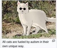 811 All cats are fueled by autism in their own unique way. D