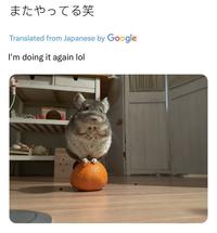 またやってる笑 Translated from Japanese by Google I'm doing it again lol