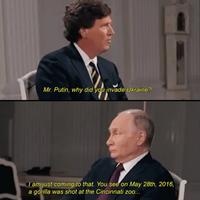 Mr. Putin, why did you invade Ukraine? I am just coming to that. You see on May 28th, 2016, a gorilla was shot at the Cincinnati zoo...