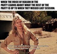 WHEN THE VOICE OF REASON IN THE PARTY LEARNS ABOUT WHAT THE REST OF THE PARTY IS UP TO WHEN THEY MISSED LAST SESSION: imgflip.com This may sound like a frivolous question, but what the hell are you doing? MAISFRUSTRATION