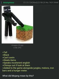 : Anonymous images (5).jpg 6 KB JPG 01/31/24(Wed) 22:58:25 No.76313948 >Tall >Black >Can't swim >Steals items >Speaks incoherent english >Chimps out if look at them >Added to the game alongside jungles, melons, iron bars and a hunger meter. What did Mojang mean by this?