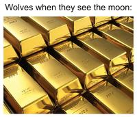 Wolves when they see the moon: GOLD ere.ee NET WT 1000 ---- GOTD VET 11 1000 a Gord NET WY ܒܢܥ 095'5 SP GORD JULEN COLD 2482 Aww dora LILIS 1000 LIME www NET WT