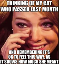 THINKING OF MY CAT WHO PASSED LAST MONTH AND REMEMBERING IT'S OK TO FEEL THIS WAY, AS IT SHOWS HOW MUCH SHE MEANT