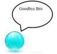 Goodbye Bro