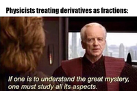 Physicists treating derivatives as fractions: If one is to understand the great mystery, one must study all its aspects.