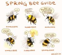 SPRING Bee GUIDE bzz hmmrzZbzm... ... bzzmrmhmm... mm BZzhmhm... bzrm... Meet me Behind THe wisteria in 20 minutes foR an ASS-KICKING MUMBLEBee RUMBLEBEE BUMBLEBee I owe it all to my Lord and SAVIOr, Beezus CHRISt Cope Daffodils are F-----' B------- PLANT SomeTHING ELSE, KAREN ugh Humblebee Fumblebee GRUMBLEBEе mecoNis 24