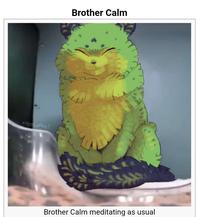 MUSTIGARON Brother Calm Brother Calm meditating as usual