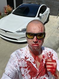 Dan Hentschel Bloody Tesla
