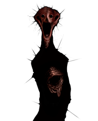 The Boiled One by @THINKSPACED