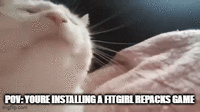 POV:YOURE INSTALLING A FITGIRL REPACKS GAME imgflip.com