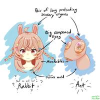 Pair of long protruding Sensory organs Big compound eyes Mandables ? a Not an ant, but a Rabbit 7 Farms Grows mold - Ant 2024/6/14 ninjastyu