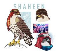 SHAHEEN @rainbow1p-