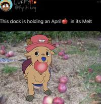 LUFFY!!! @Pyrit.king This dock is holding an April in its Melt