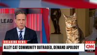 LEAD AKE TAPPER BREAKING NEWS ALLEY CAT COMMUNITY OUTRAGED, DEMAND APOLOGY LIVE CAN 11:17 AM EST