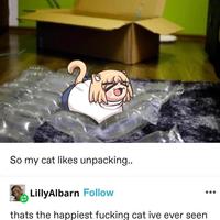 !https://pbs.twimg.com/media/GRI_glvXAAEk8Wn?format=png&name=small!