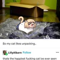 So my cat likes unpacking.. LillyAlbarn Follow thats the happiest f------ cat ive ever seen