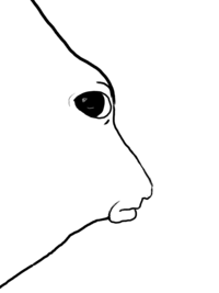 Side Eye Horse Wojak