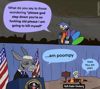 What do you say to those wondering "please god step down you're so f------ old please i am going to kill myself" PRESIDENT OF USA MAN PRESS ....am poompy HELL SNAP YAAS TELL EM JOE!! Ruth Bader Ginsburg HAPPYROADKILL