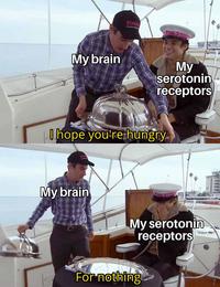 My brain PINK PINKIS My serotonin receptors I hope you're hungry. My brain My serotonin receptors For nothing