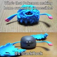 Who's that Pokemon making home ownership impossible? It's BlackRock