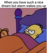 When you have such a nice dream but alarm wakes you up