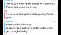 BABYGIRL i asked you if your p--- addiction is gone it's a simple yes or no answer ME 3:22 PM lex 3:22 PM I'm sorry for being fat and disgusting. Yes it's gone. BABYGIRL where the f--- did it go 3:23 PM because you obviously need to nut to even get through the day