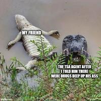 wingflip.com MY FRIEND THE TSA AGENT AFTER I TOLD HIM THERE WERE DRUGS DEEP UP HIS ASS