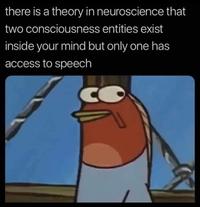 there is a theory in neuroscience that two consciousness entities exist inside your mind but only one has access to speech CO