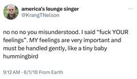 america's lounge singer @KrangTNelson no no no you misunderstood. I said "f--- YOUR feelings". MY feelings are very important and must be handled gently, like a tiny baby hummingbird 9:12 AM 6/1/18 From Earth • ...