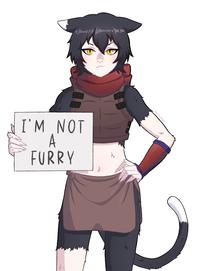 I'M NOT A FURRY meowmei