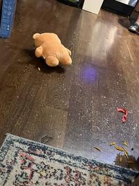 Broken glass inside the apartment that the twink fell into