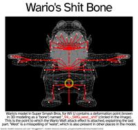 Wario's S--- Bone Wario's model in Super Smash Bros. for Wii U contains a deformation point (known in 3D modeling as a "bone") named "_94_-_SWG_west_shit" (circled in the image). This is the point to which the Wario Waft attack effect is attached, explaining the last part. "West" is a misspelling of "waist", which is also present in other places in the model. Source: models-resource.com user "Struggleton!", models-resource.com/wii_u/supersmashbrosforwiiu/model/11424/