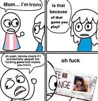 Mom... I'm trans is that because of that game you play? oh yeah, lemme check if I accidentally played the f------ game that makes you trans oh f--- FFS NGE TH