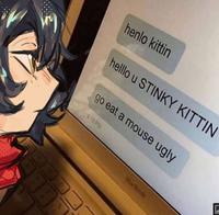 henlo kittin helllo u STINKY KITTIN go eat a mouse ugly 418 PU MacBook