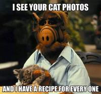 I SEE YOUR CAT PHOTOS AND HAVE A RECIPE FOR EVERY ONE