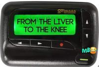 Qelmann FROM THE LIVER TO THE KNEE MB