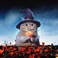 Cheeseball Loves You