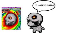 A piece of Hurricane Milton "fan art":https://knowyourmeme.com/memes/cultures/fan-art that depicts the October 2024 hurricane as a little man saying, "I hate Florida." The art uses an infrared satellite image of Milton that resembles a skull or a "creepypasta":https://knowyourmeme.com/memes/creepypasta face, similar to precursor memes about "Hurricane Matthew":https://knowyourmeme.com/memes/events/2016-hurricane-matthew from 2016.