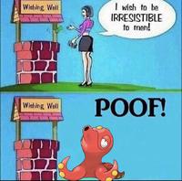 Wishing Well I wish to be IRRESISTIBLE to men! Wishing Well POOF!